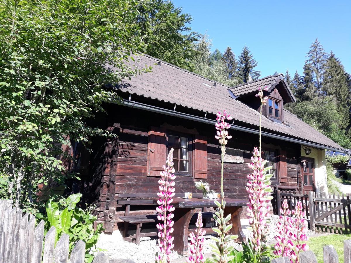 Villa Umundumhuette à Katsch an der Mur Extérieur photo